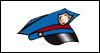 Полиция