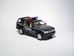 Ford Explorer Buchanan Police (1994)